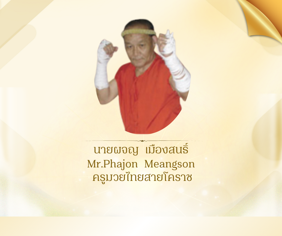นายผจญ  เมืองสนธิ์ 