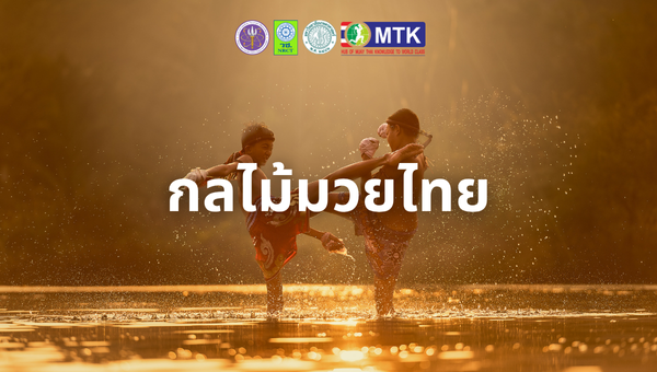 ไม้กลมวย